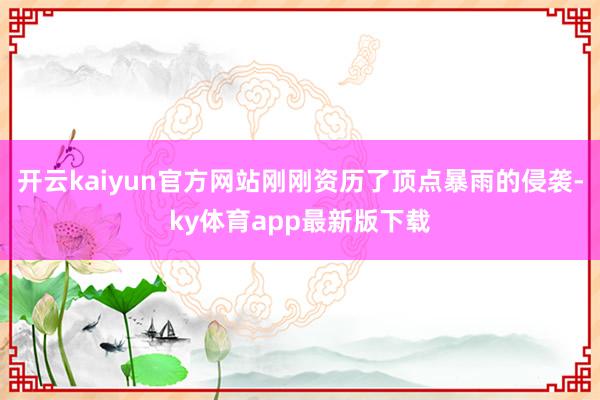 开云kaiyun官方网站刚刚资历了顶点暴雨的侵袭-ky体育app最新版下载