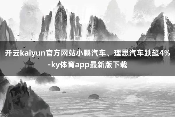 开云kaiyun官方网站小鹏汽车、理思汽车跌超4%-ky体育app最新版下载