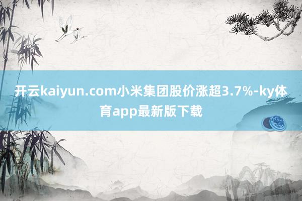 开云kaiyun.com小米集团股价涨超3.7%-ky体育app最新版下载