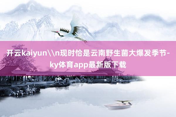 开云kaiyun\n现时恰是云南野生菌大爆发季节-ky体育app最新版下载