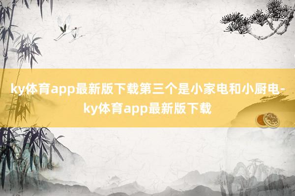 ky体育app最新版下载 第三个是小家电和小厨电-ky体育app最新版下载