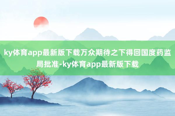 ky体育app最新版下载万众期待之下得回国度药监局批准-ky体育app最新版下载