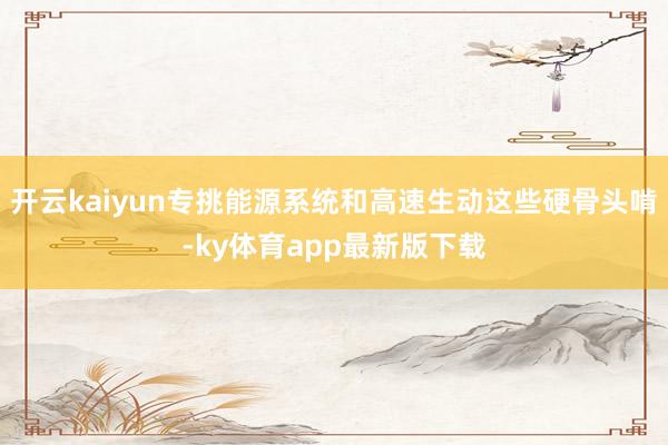开云kaiyun专挑能源系统和高速生动这些硬骨头啃-ky体育app最新版下载
