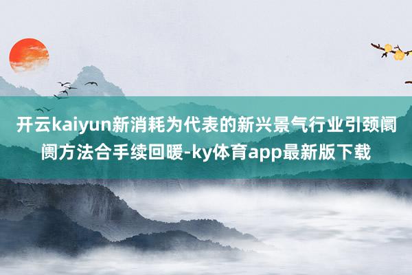 开云kaiyun新消耗为代表的新兴景气行业引颈阛阓方法合手续回暖-ky体育app最新版下载