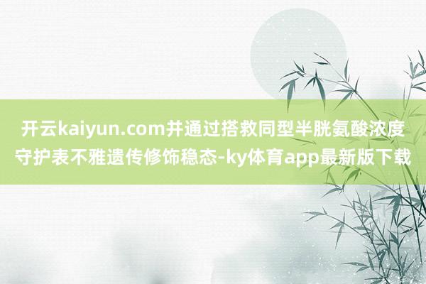 开云kaiyun.com并通过搭救同型半胱氨酸浓度守护表不雅遗传修饰稳态-ky体育app最新版下载