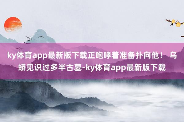 ky体育app最新版下载正咆哮着准备扑向他！ 乌蟒见识过多半古墓-ky体育app最新版下载